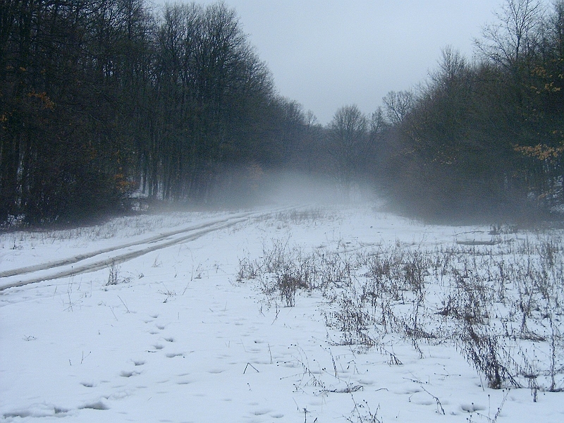 20100220 027.jpg